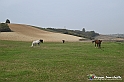 VBS_7532 - Andare lontano, oltre i campi da arare... e ancora più in là